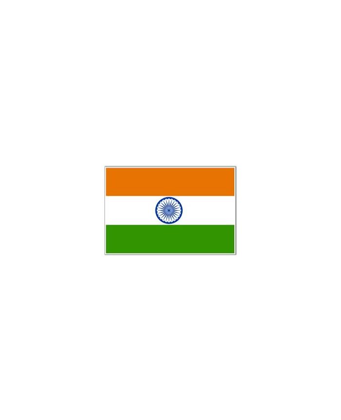Drapeau national de l'Inde 90x150cm Polyester suspendu dans Ind Drapeaux  nationaux indiens pour la décoration