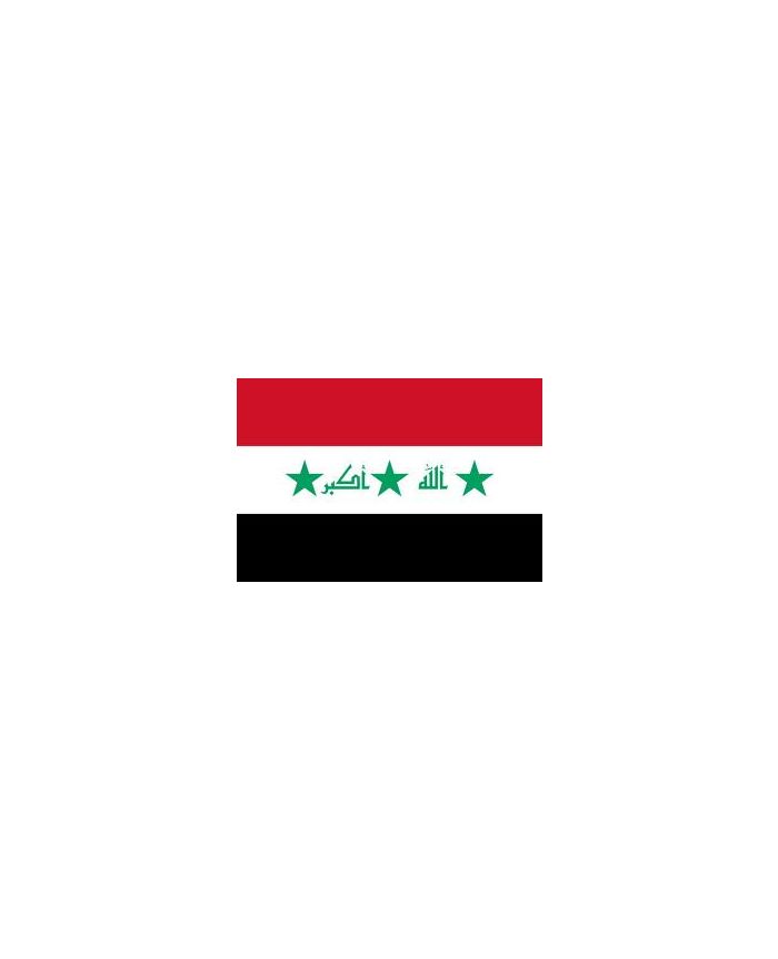 Drapeau Irak 2009 - Acheter drapeaux irakiens pas cher - Monsieur