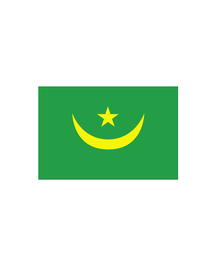Tee-shirt drapeau mauritanie