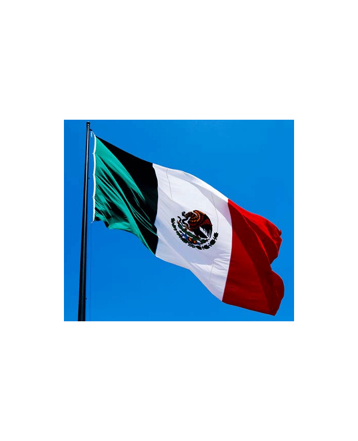 Lot de drapeaux Mexique en papier : fabrication française