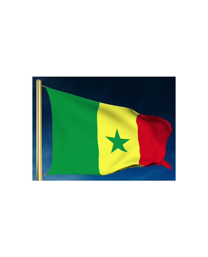 Drapeau Sénégal - 150 x 90 cm