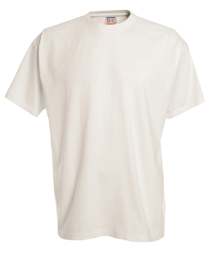 plain white t shirt target